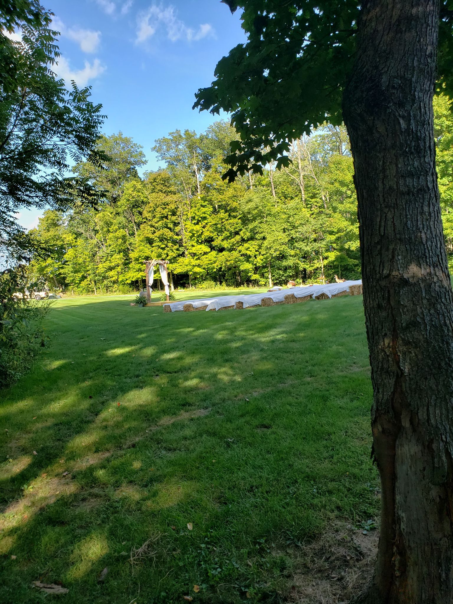 Reddowg Entertainment