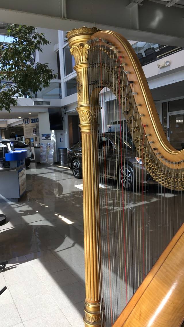Harpist view in Car Museum in northern Indiana 
