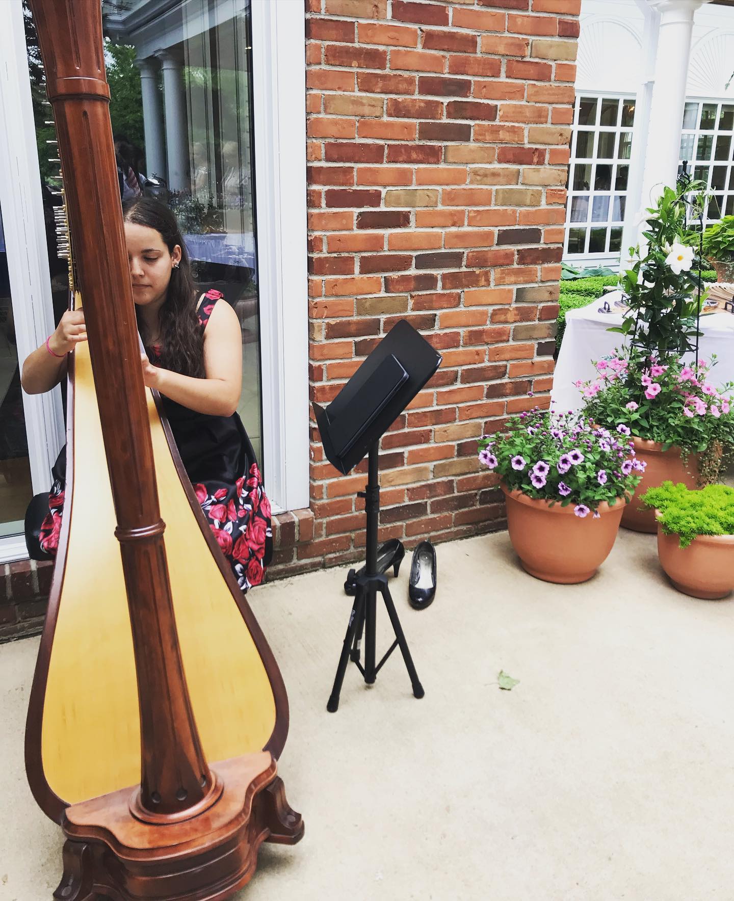 Maia Playing Her Harp At A Wedding on a patio outdoors. Hire a Harpist in Anderson, Muncie, and Kokomo Weddings
