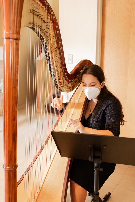 Maia Playing Harp for Social Hour and Dinner at a formal Event. The Best South Bend Indiana Harpist for hire book now 