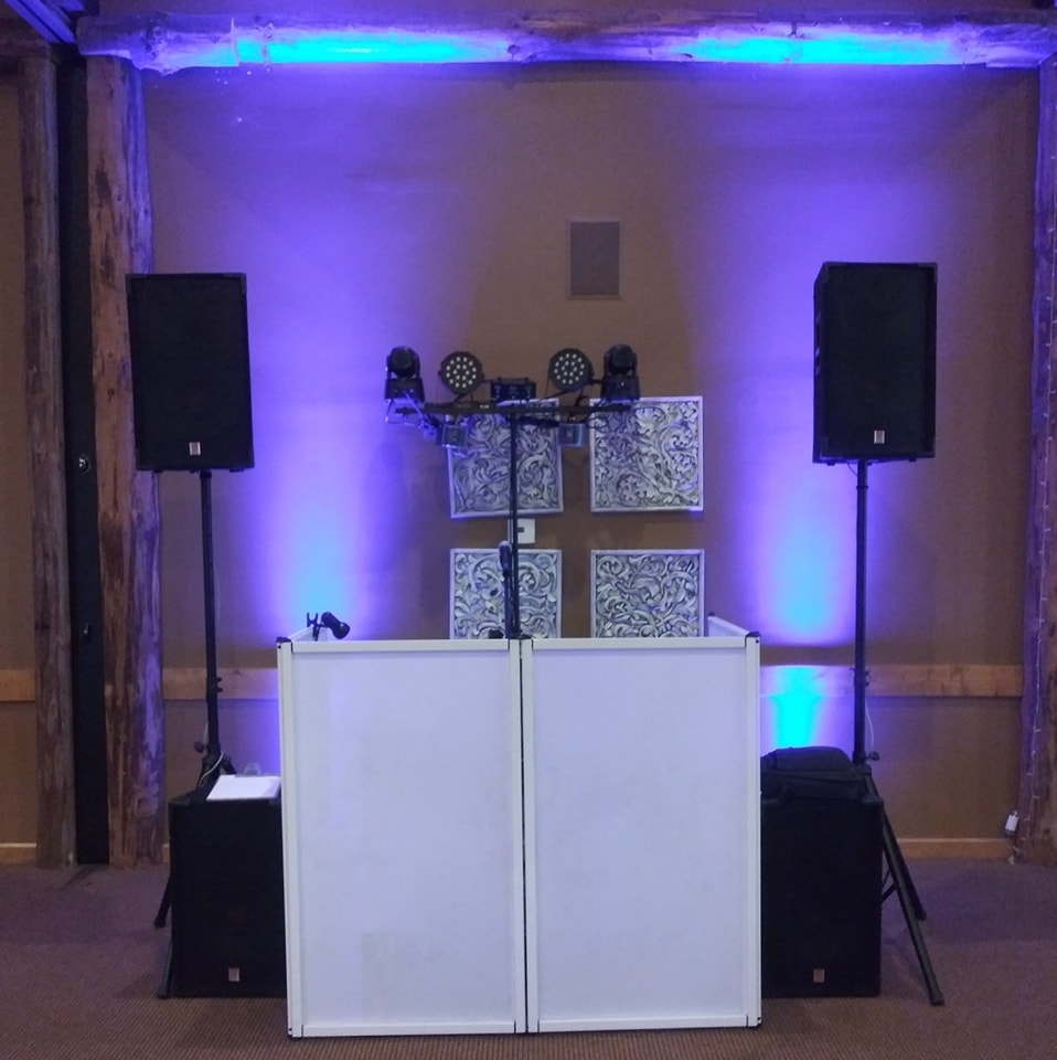 Contains these words in the logo Zionsville Carmel Richmond Muncie Greenfield Indianapolis Wedding DJ Logo 2023 2024 Sysnthesis Entertainment